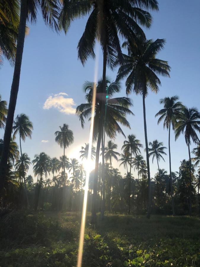 Le Petit Suites Praia De Lages Pôrto de Pedras 外观 照片